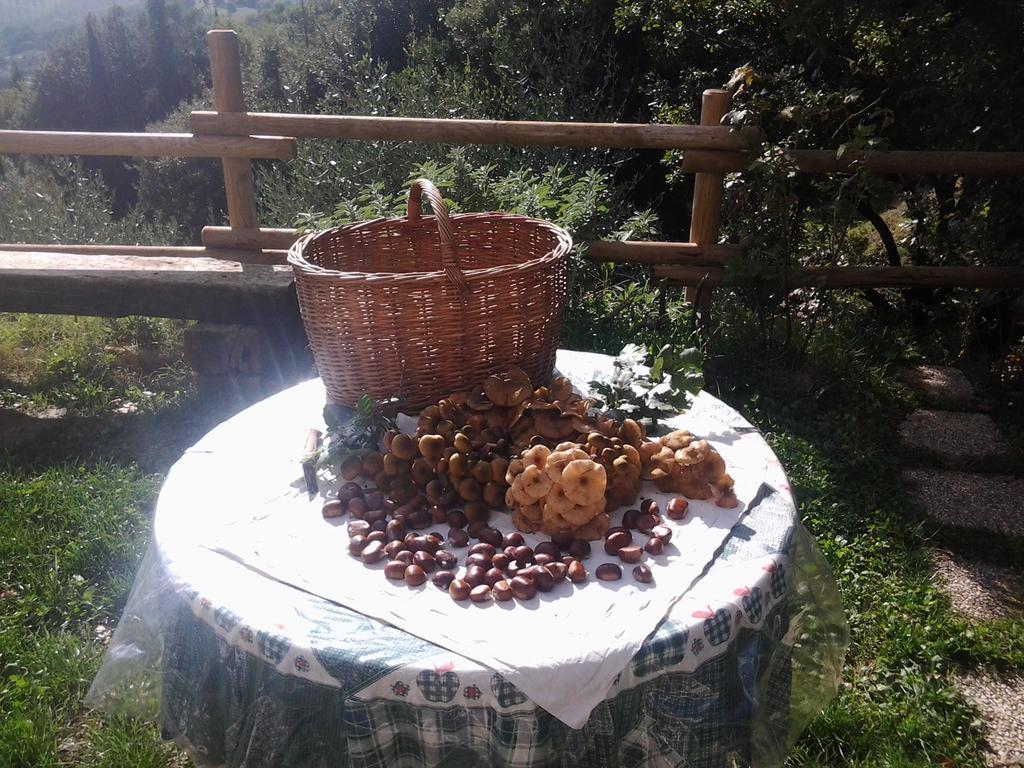 Bed And Breakfast Al Posto Bello Perugia Ngoại thất bức ảnh
