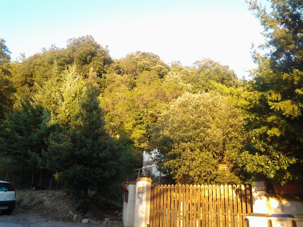 Bed And Breakfast Al Posto Bello Perugia Ngoại thất bức ảnh
